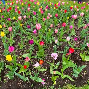 Meet your Posher, Dee